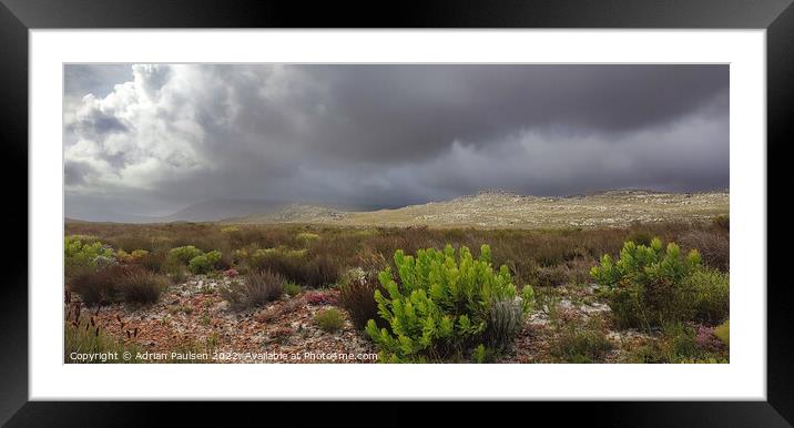 Rugged Cape Point  Framed Mounted Print by Adrian Paulsen