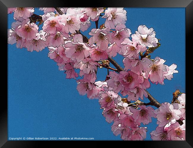 Cherry Blossom Digital Art Framed Print by Gillian Robertson