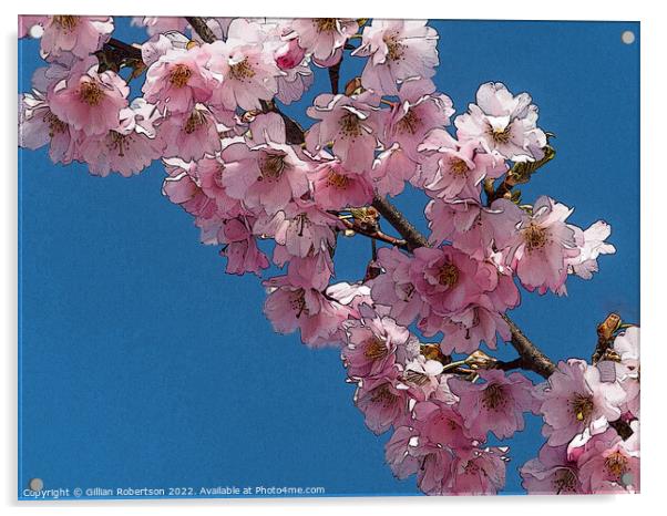 Cherry Blossom Digital Art Acrylic by Gillian Robertson