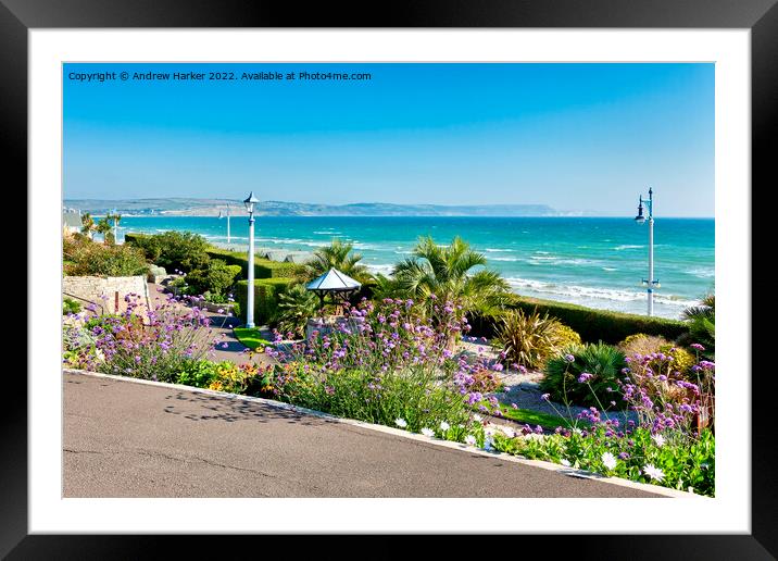 Greenhill Gardens, Weymouth, Dorset, England, UK Framed Mounted Print by Andrew Harker