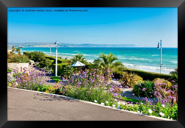 Greenhill Gardens, Weymouth, Dorset, England, UK Framed Print by Andrew Harker