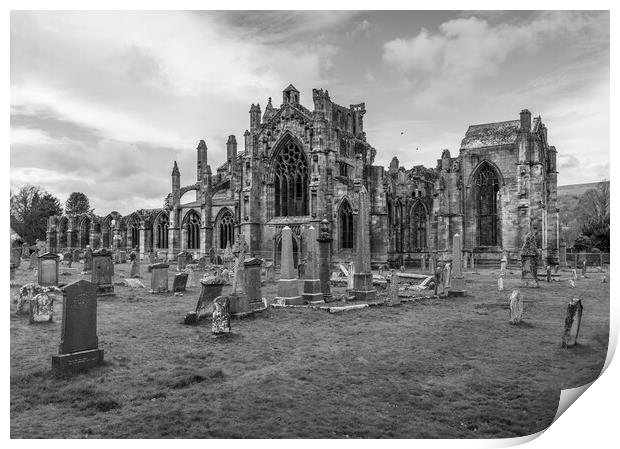 Melrose Abbey Black and White  Print by Anthony McGeever