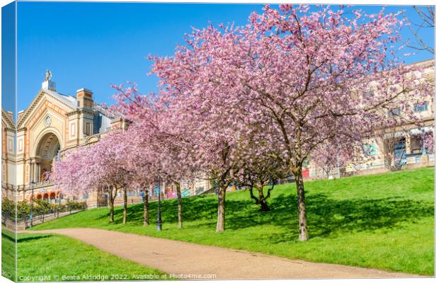 Pink spring Canvas Print by Beata Aldridge