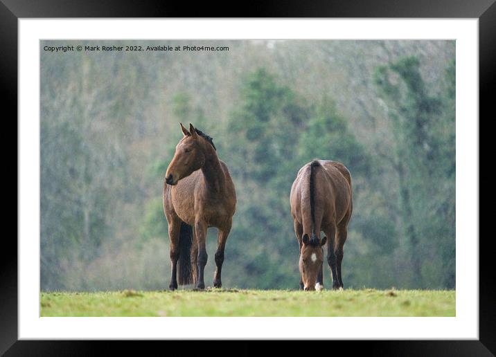 Ponies in the Rain Framed Mounted Print by Mark Rosher