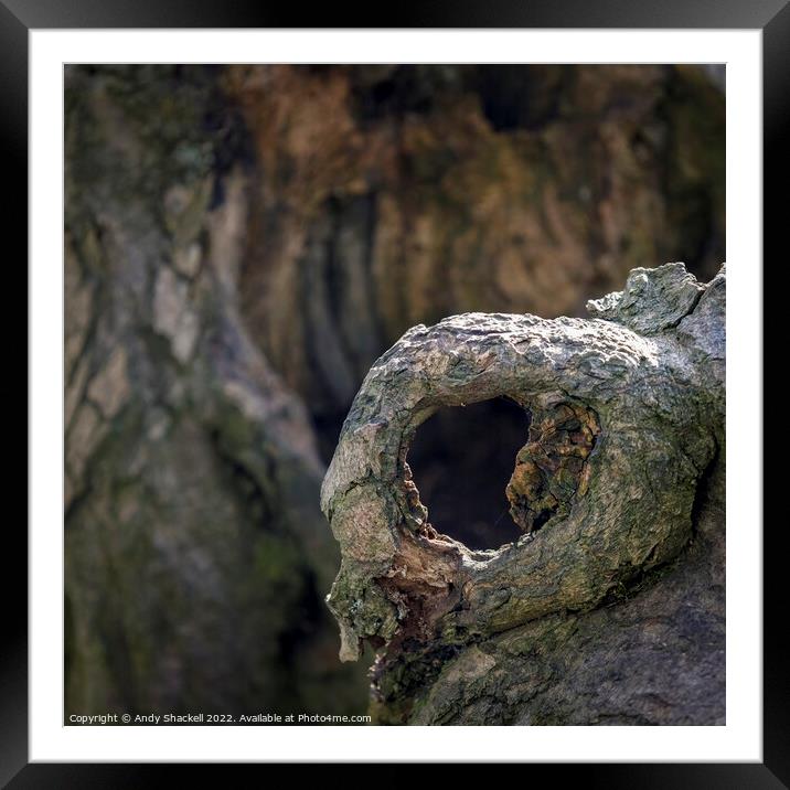 Tree Eye Framed Mounted Print by Andy Shackell