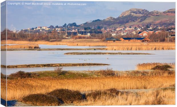 Conwy RSPB Nature Reserve Lagoons Canvas Print by Pearl Bucknall