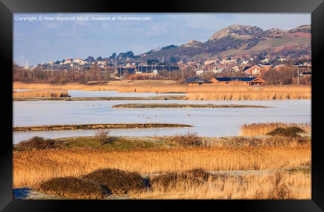 Conwy RSPB Nature Reserve Lagoons Framed Print by Pearl Bucknall