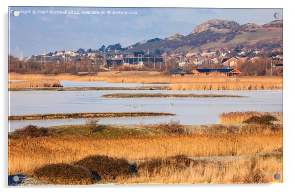 Conwy RSPB Nature Reserve Lagoons Acrylic by Pearl Bucknall