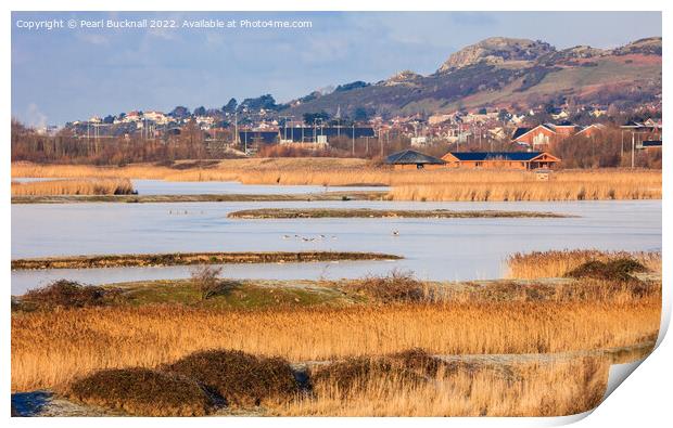 Conwy RSPB Nature Reserve Lagoons Print by Pearl Bucknall