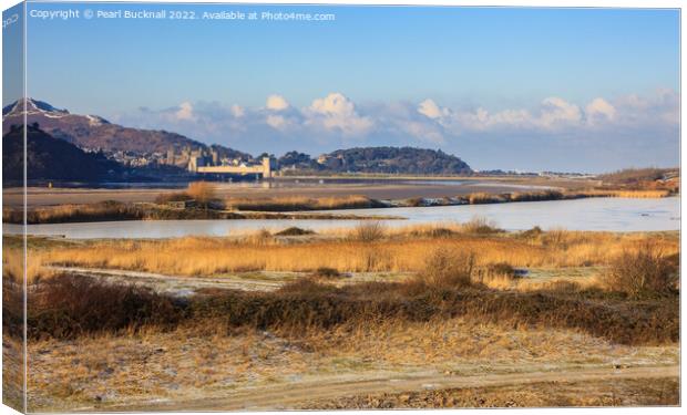 Conwy RSPB Reserve in Winter Canvas Print by Pearl Bucknall