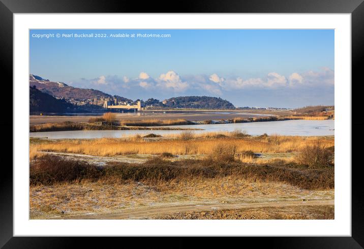 Conwy RSPB Nature Reserve in Winter Framed Mounted Print by Pearl Bucknall