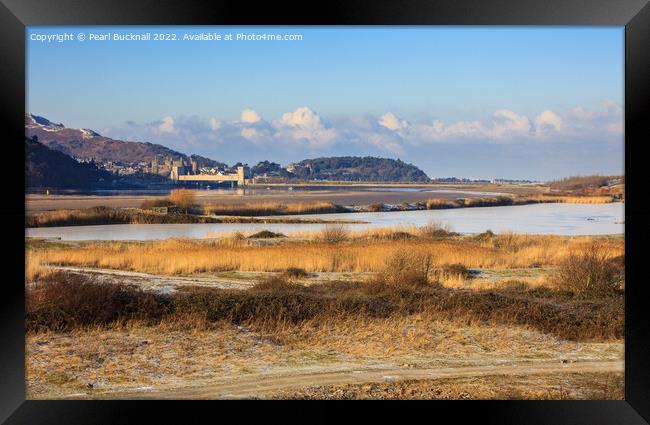 Conwy RSPB Nature Reserve in Winter Framed Print by Pearl Bucknall