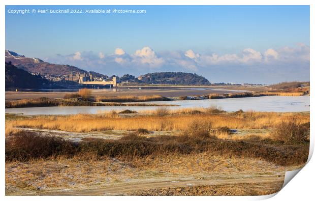 Conwy RSPB Nature Reserve in Winter Print by Pearl Bucknall