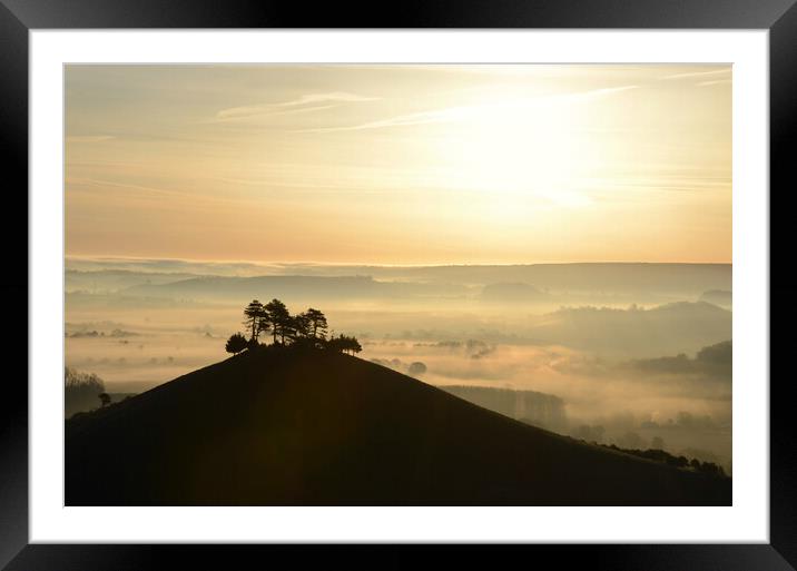 Bronze Mists Framed Mounted Print by David Neighbour