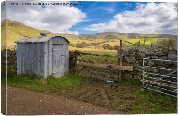 Shepherds hut on an ascent of High Cup Nick along the Pennine Wa Canvas Print by Peter Stuart
