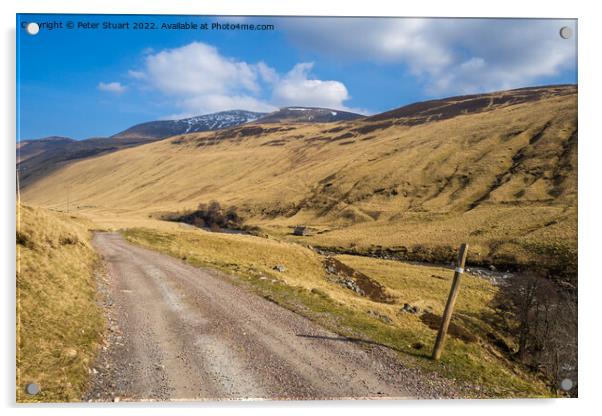 Glen Tilt is a special valley in the Cairngorms of Scotland. Acrylic by Peter Stuart