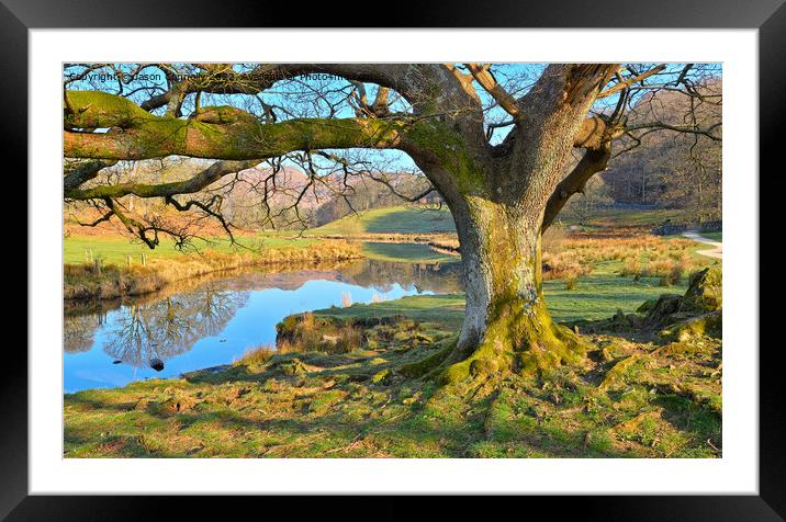 The River Brathay Framed Mounted Print by Jason Connolly