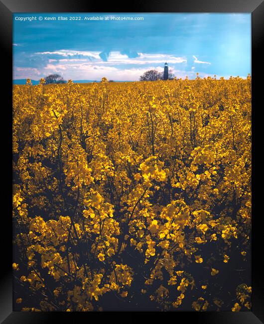 Fields of gold Framed Print by Kevin Elias