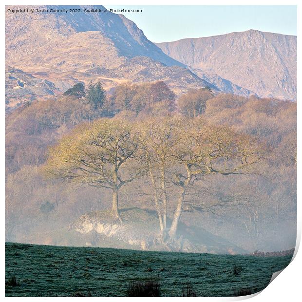 Lake District Views Print by Jason Connolly