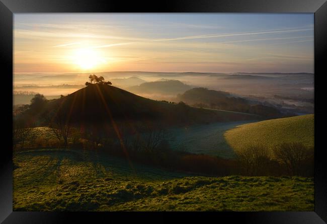 Dewy Morning at Colmer's Hill Framed Print by David Neighbour
