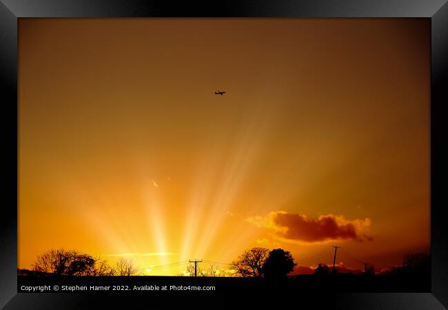 Sunset Flight Framed Print by Stephen Hamer