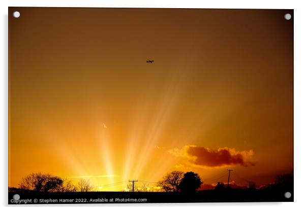 Sunset Flight Acrylic by Stephen Hamer