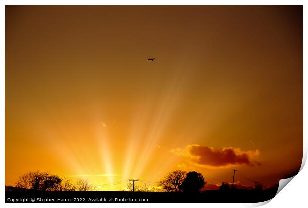 Sunset Flight Print by Stephen Hamer