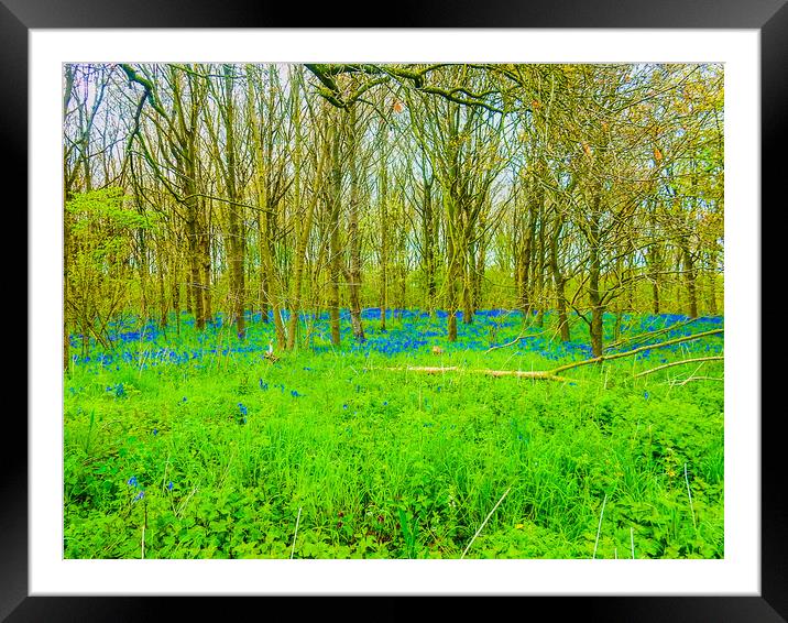 Enchanting Bluebell Forest Framed Mounted Print by Simon Hill