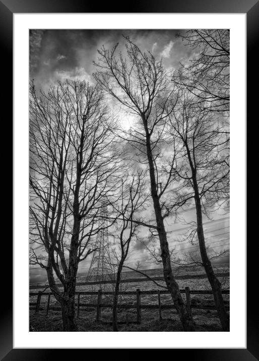 Spring Trees and Pylons Mono Framed Mounted Print by Glen Allen