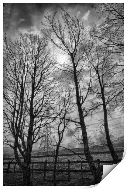 Spring Trees and Pylons Mono Print by Glen Allen