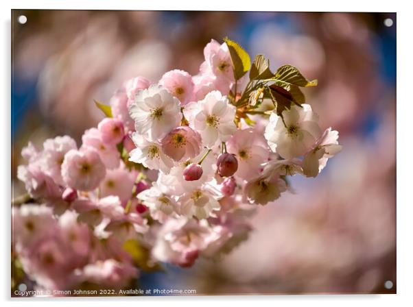 Spring Blossom Acrylic by Simon Johnson