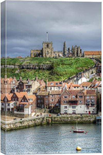Whitby Harbour Canvas Print by Carol Herbert
