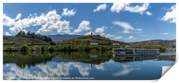 Cruising the Douro Panorama Print by DiFigiano Photography