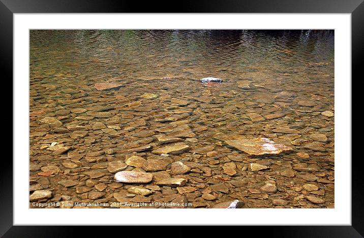 water stream over shining stones Framed Mounted Print by Wood Stocker