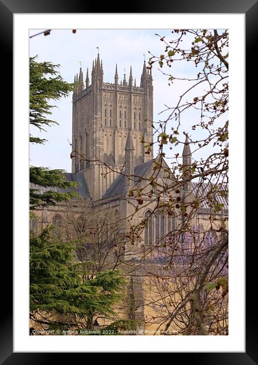 Gothic Wonder of Wells Cathedral Framed Mounted Print by Antony Robinson