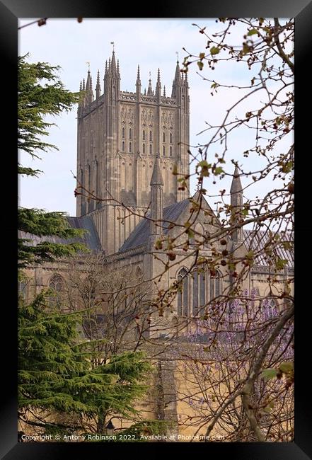 Gothic Wonder of Wells Cathedral Framed Print by Antony Robinson