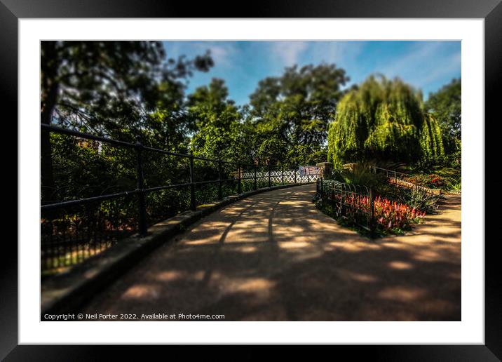 Pathway in the Park Framed Mounted Print by Neil Porter