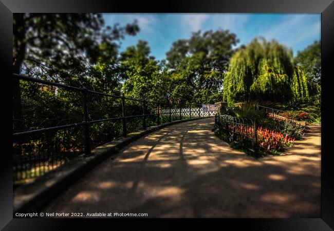 Pathway in the Park Framed Print by Neil Porter