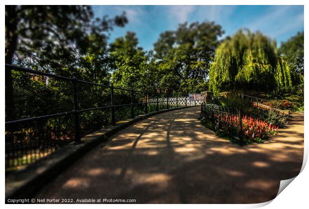 Pathway in the Park Print by Neil Porter