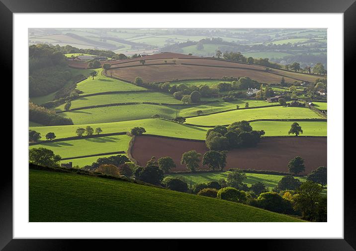 Mid Devon fields Framed Mounted Print by Pete Hemington