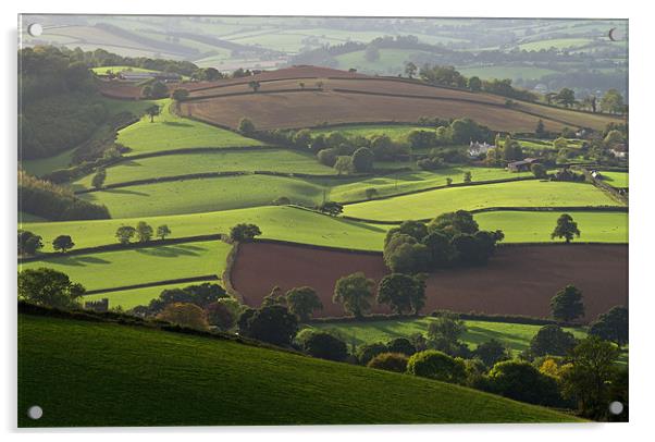 Mid Devon fields Acrylic by Pete Hemington