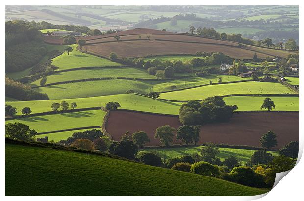Mid Devon fields Print by Pete Hemington