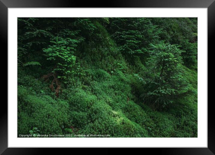 A close up of a lush green forest. Framed Mounted Print by Veronika Druzhnieva