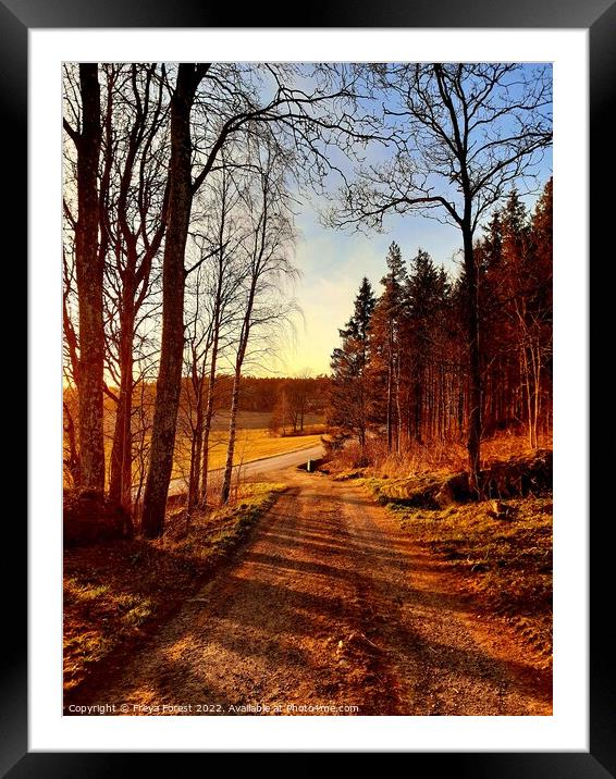 Road from the Swedish farm Framed Mounted Print by Freya Forest