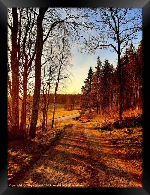 Road from the Swedish farm Framed Print by Freya Forest