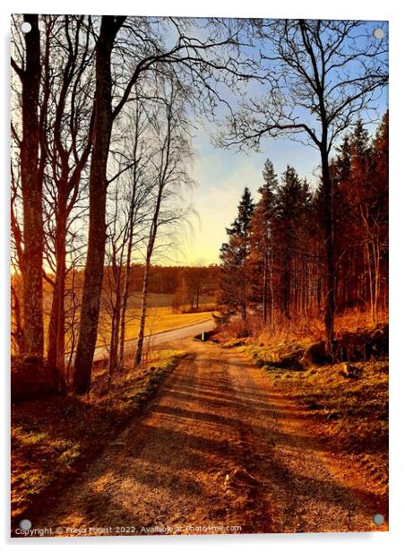 Road from the Swedish farm Acrylic by Freya Forest