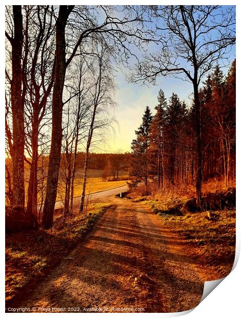 Road from the Swedish farm Print by Freya Forest