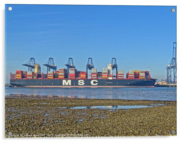 MSC Diletta Felixstowe Docks Acrylic by Robert Beecham