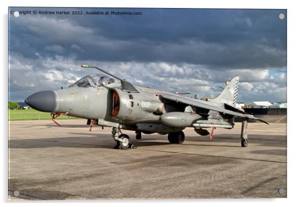 BAe Sea Harrier F/A.2  Acrylic by Andrew Harker