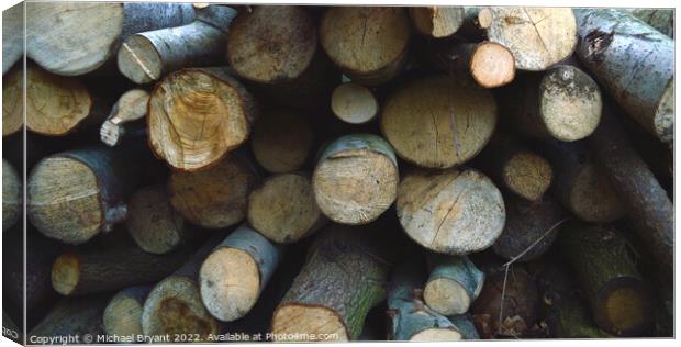 Wooden logs Canvas Print by Michael bryant Tiptopimage